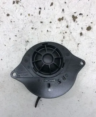 Panel speaker