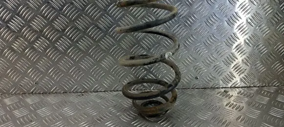 Rear coil spring