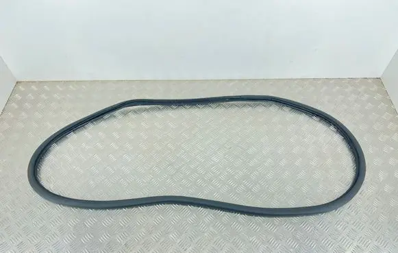 Peugeot 3008 III Rear door rubber seal (on body) 9841055180