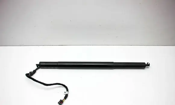 Tailgate/trunk strut/damper