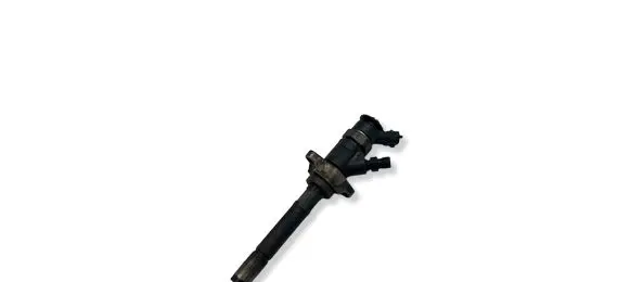Peugeot 5008 Fuel injector 0445110297
