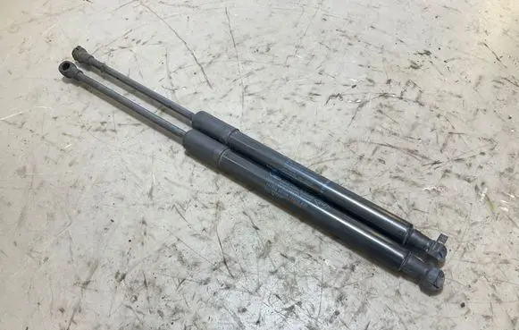 Dacia Duster II Tailgate/trunk strut/damper 904522228R 1434220575N