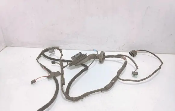 Front door wiring loom