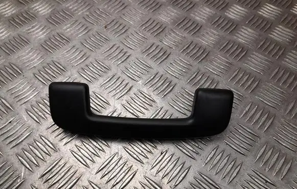 Renault Master IV Front interior roof grab handle 812513B