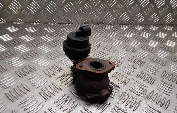 EGR valve