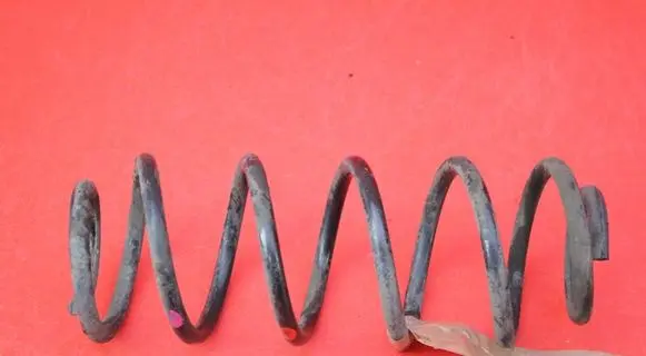 Rear coil spring