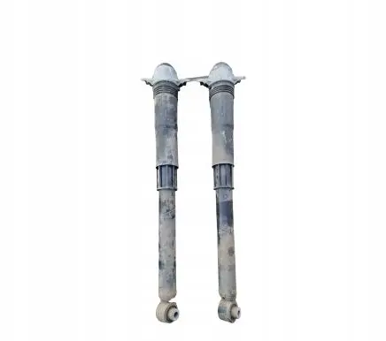 Volkswagen T-Roc Rear shock absorber/damper 5Q0513029NK