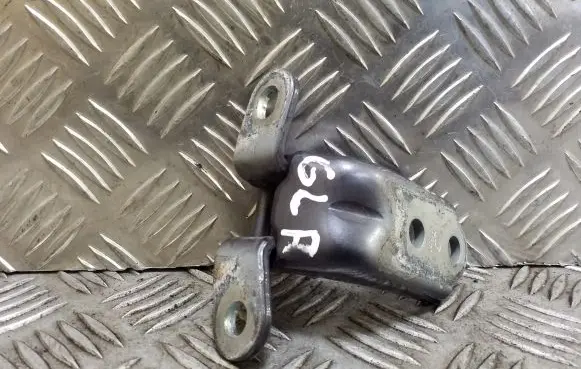 Rear door lower hinge