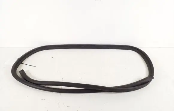 Toyota Urban Cruiser (XP110) Rear door rubber seal (on body) 62331-52070