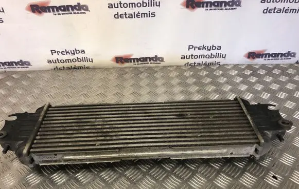 Opel Vivaro Intercooler radiator 91166035