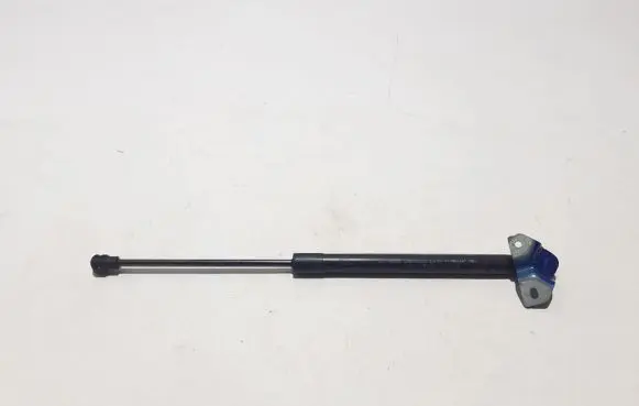 Dacia Sandero III Tailgate strut 904514512R