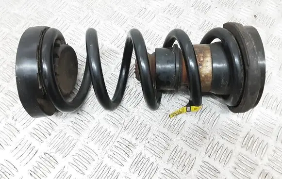 Rear coil spring