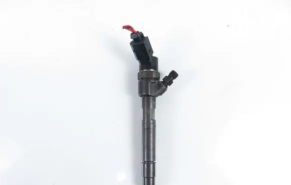 Smart ForTwo I Fuel injector 6600700187 0445110023