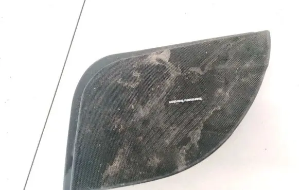 Mercedes-Benz CLS C219 Side speaker trim/cover A2197270188