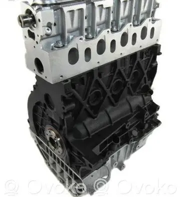 Suzuki Grand Vitara II Engine block F9Q