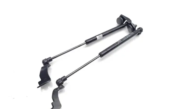 Chevrolet Captiva Rear window strut damper 82553891300