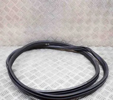 BMW iX3 G08 Rubber seal rear door 7393449