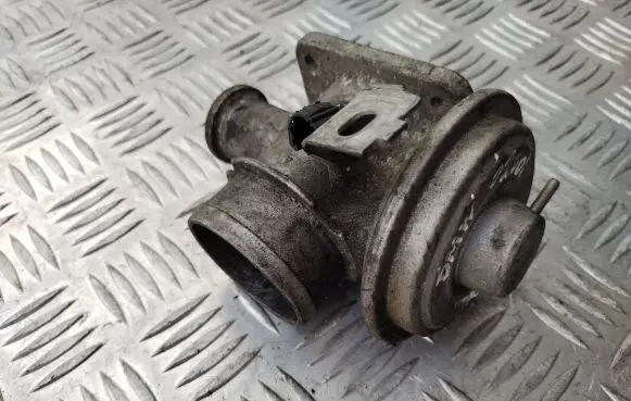 BMW 3 E46 EGR valve
