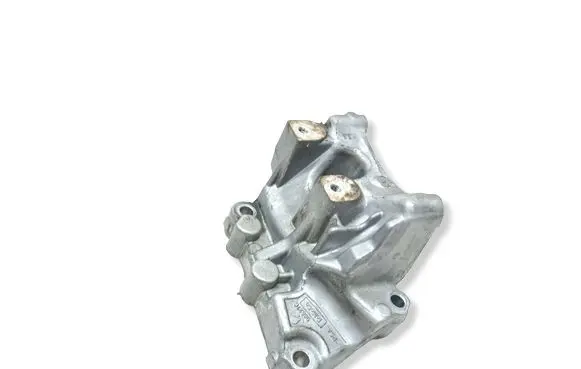 Jaguar XF X250 Engine mounting bracket 9656597780