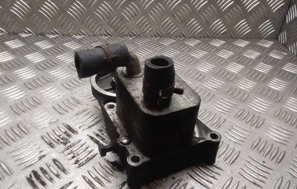 Oil filter mounting bracket