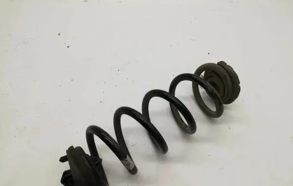 Rear coil spring