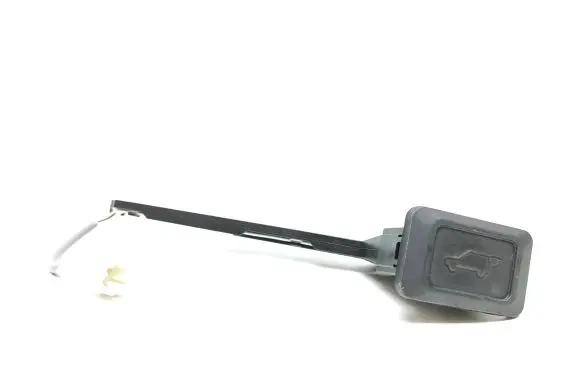 Toyota RAV 4 (XA50) Tailgate/boot open switch button 