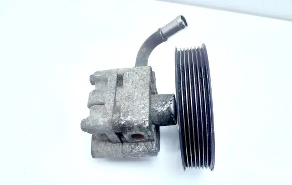 Suzuki Grand Vitara II Power steering pump 4910067J00 6Z113008