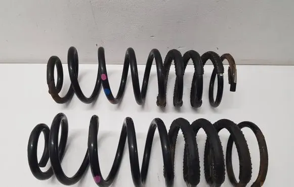 Rear coil spring