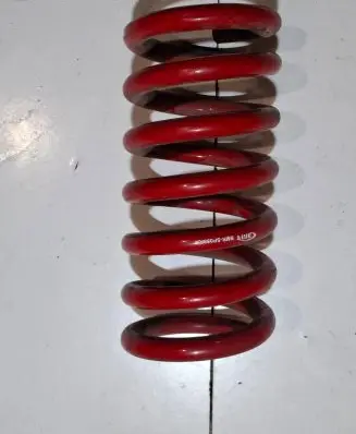 Ford Mustang VI Rear coil spring BMRSP088RA SP088RA