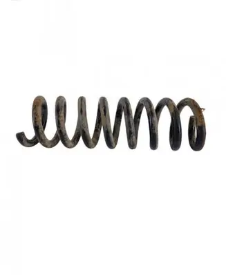 Rear coil spring