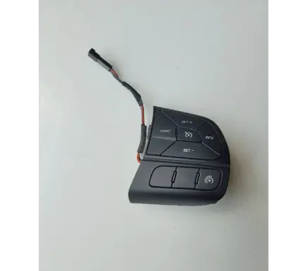 Steering wheel buttons/switches