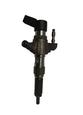 Citroen C4 II Picasso Fuel injector 9802448680