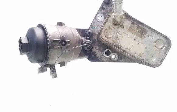 Opel Signum Oil filter mounting bracket 5989070241 55197185