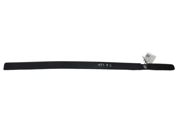 Renault Clio III Front door trim (molding) 8200289913