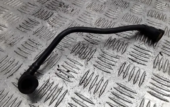 Peugeot 406 Fuel injector supply line/pipe 219F00