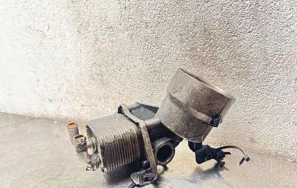 Opel Astra H Engine oil radiator 8973729421 29123
