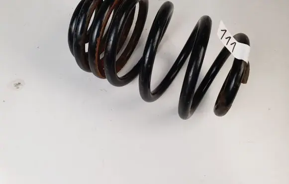 Renault Trafic II (X83) Rear coil spring