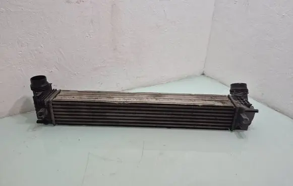 Renault Megane III Intercooler radiator 818870