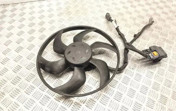 Citroen C5 Electric radiator cooling fan 009111622