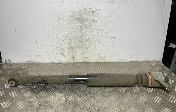 Hyundai Kona I Rear shock absorber/damper 55300J9300