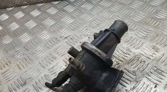 Thermostat/thermostat housing