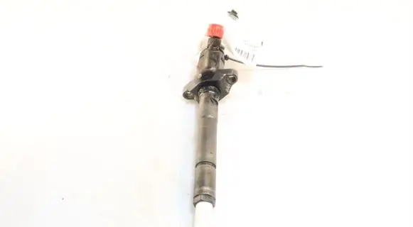 Volvo S40 Fuel injector 0445110259