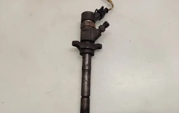 Citroen C4 I Fuel injector 0445110188