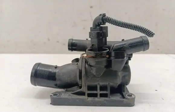 Thermostat/thermostat housing