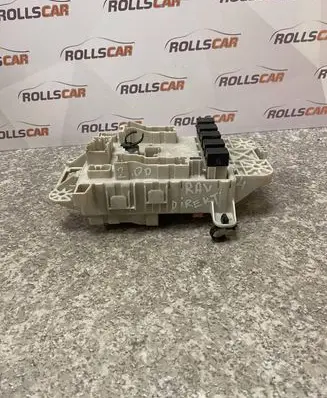 Toyota RAV 4 (XA20) Fuse box set PPT25P5