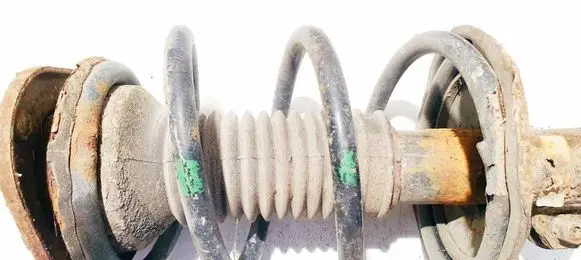 Front coil spring