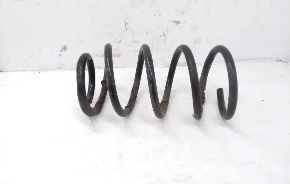 Hyundai Santa Fe Rear coil spring