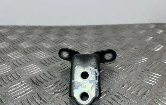 Hyundai Kona I Rear door lower hinge