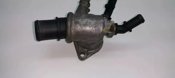 Thermostat/thermostat housing