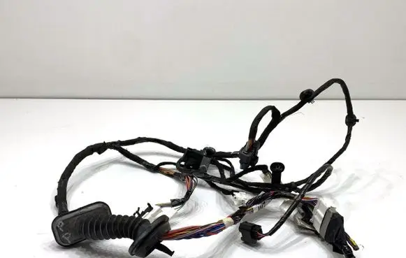 Nissan Qashqai Front door wiring loom 24124HV01C